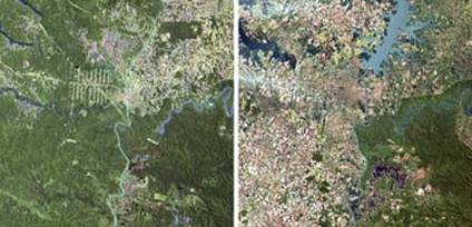 Satellite images showing deforestation in Iguacu in 1973, left, and 2003 